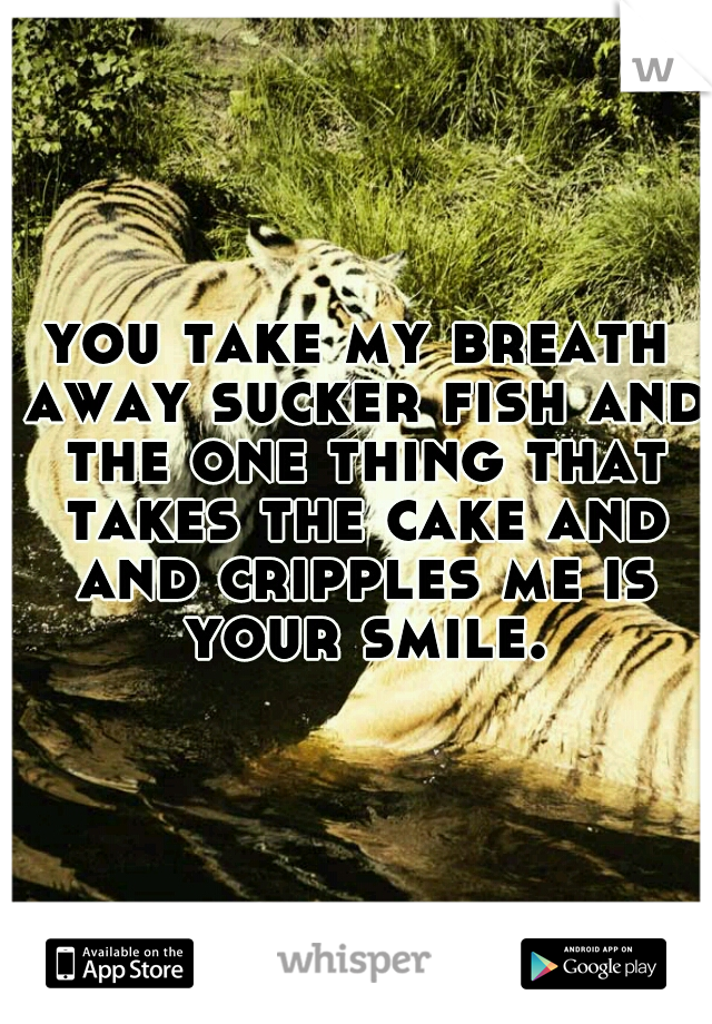 you take my breath away sucker fish and the one thing that takes the cake and and cripples me is your smile.