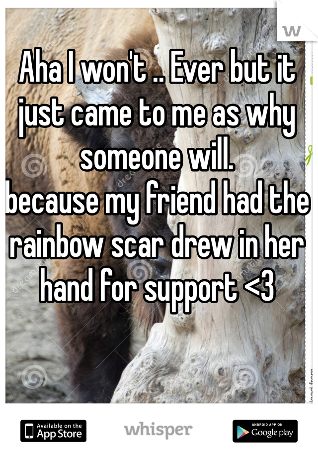 Aha I won't .. Ever but it just came to me as why someone will. 
because my friend had the rainbow scar drew in her hand for support <3