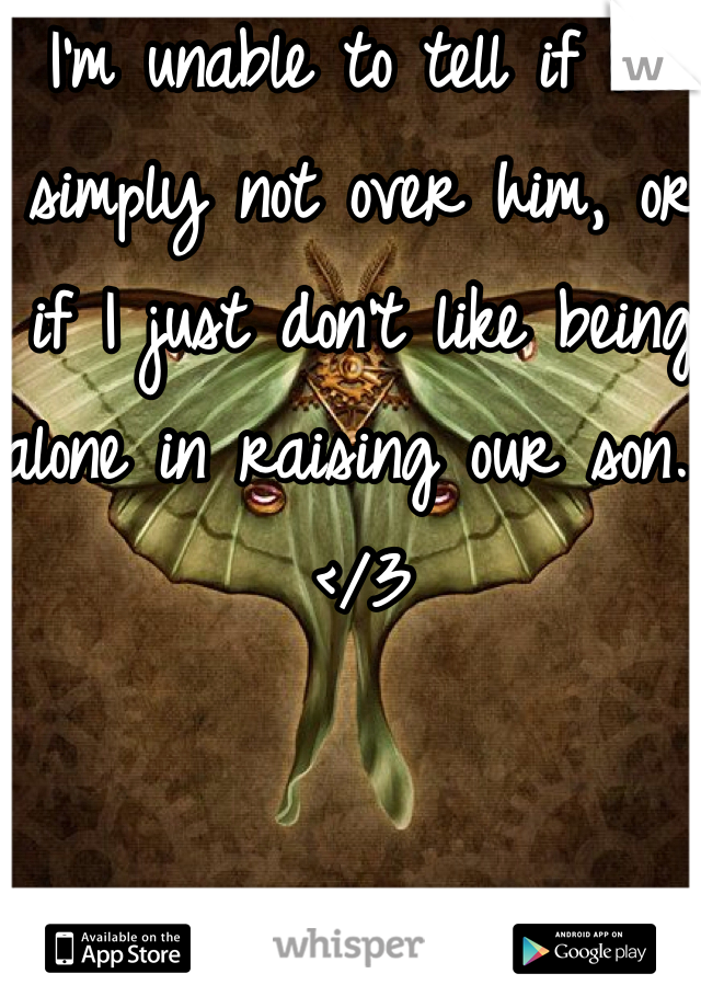 I'm unable to tell if I'm simply not over him, or if I just don't like being alone in raising our son... </3