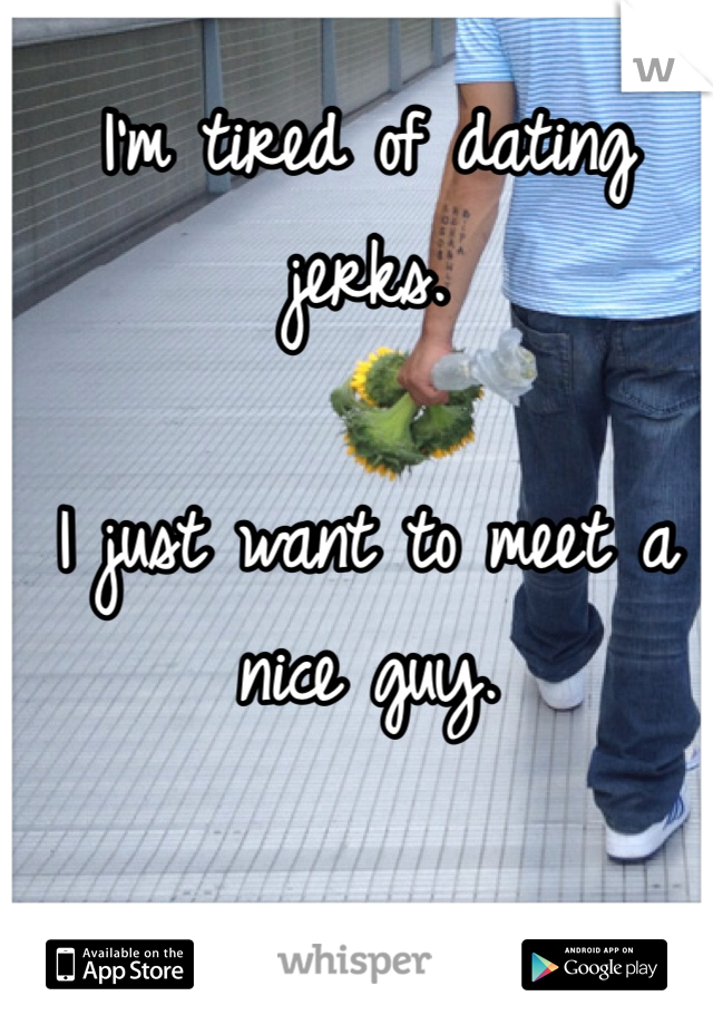 I'm tired of dating jerks. 

I just want to meet a nice guy. 