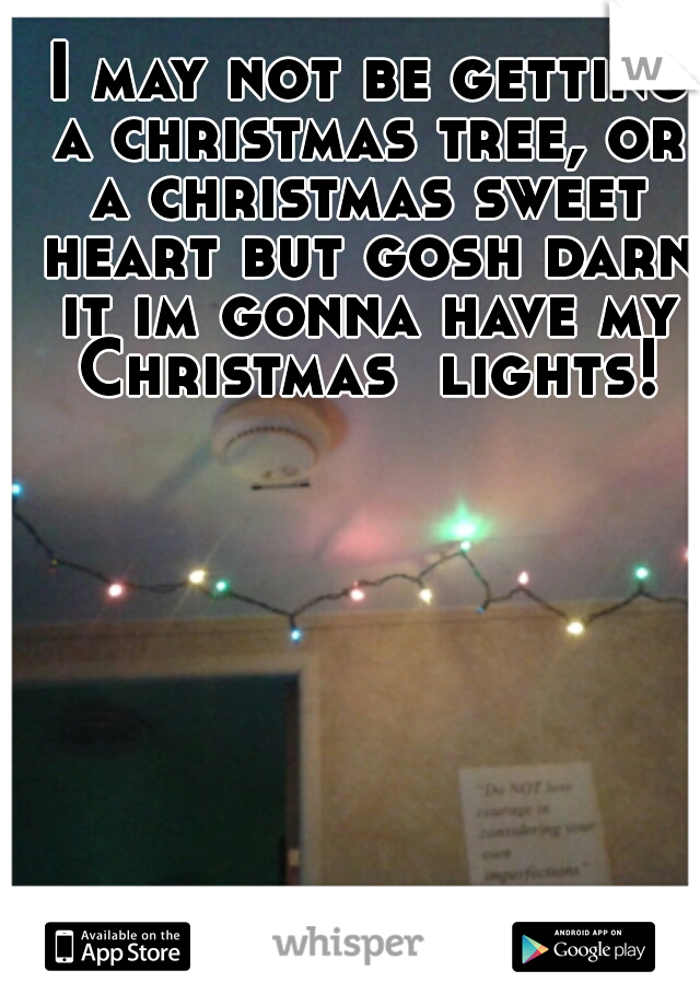  I may not be getting a christmas tree, or a christmas sweet heart but gosh darn it im gonna have my Christmas  lights!