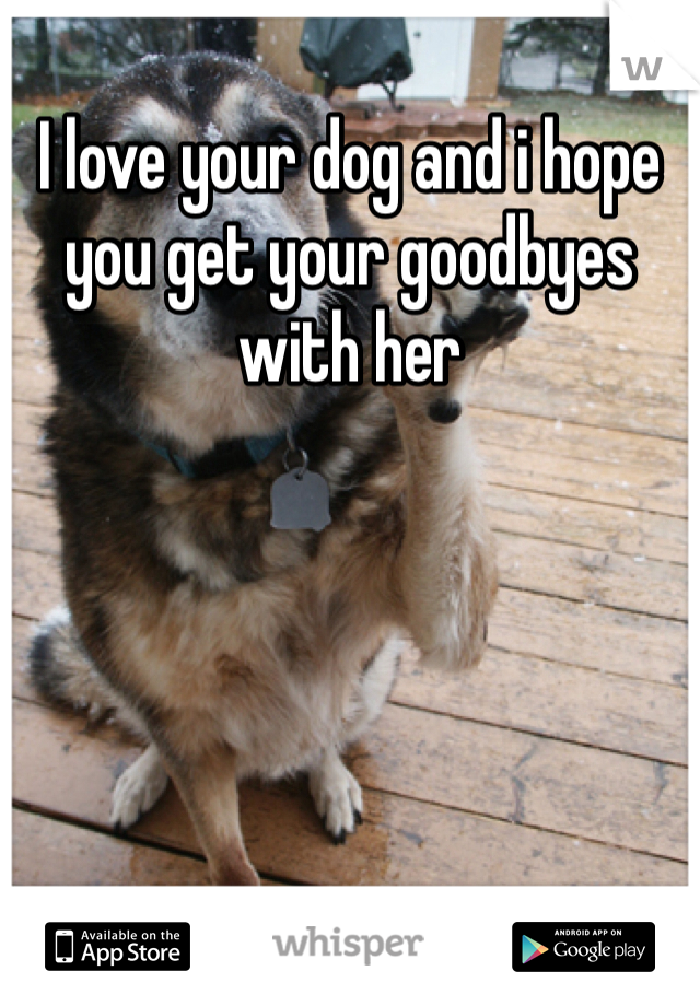 I love your dog and i hope you get your goodbyes with her 