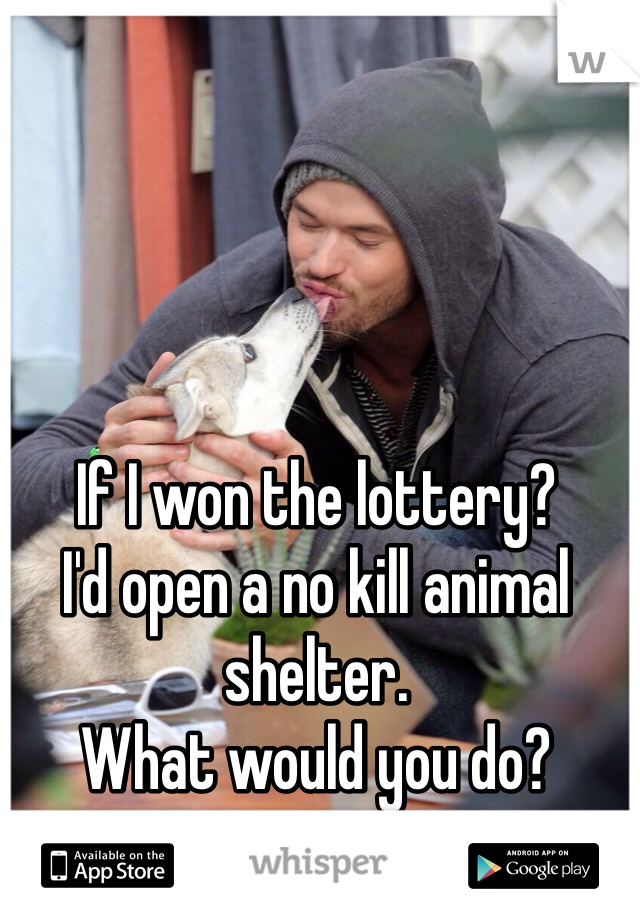 If I won the lottery?
I'd open a no kill animal shelter.
What would you do?