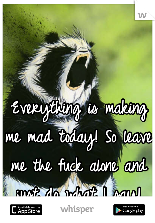 Everything is making me mad today! So leave me the fuck alone and just do what I say!