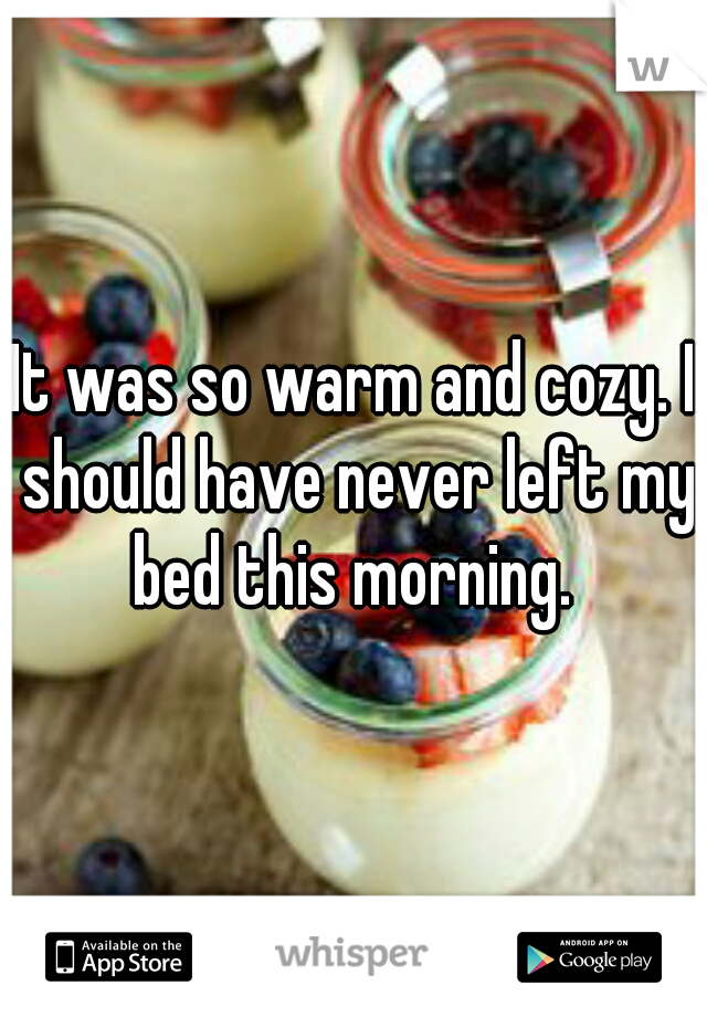 It was so warm and cozy. I should have never left my bed this morning. 