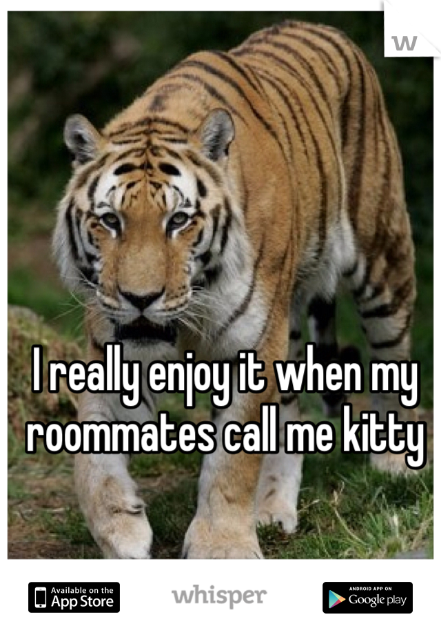 I really enjoy it when my roommates call me kitty 