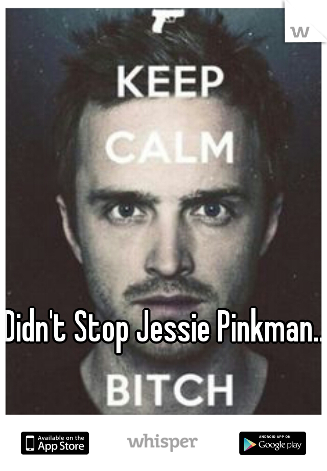 Didn't Stop Jessie Pinkman...