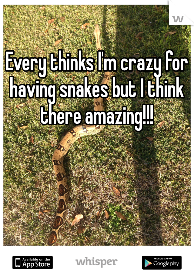 Every thinks I'm crazy for having snakes but I think there amazing!!!