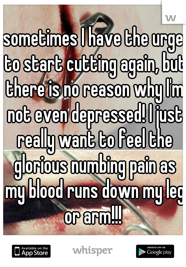 sometimes I have the urge to start cutting again, but there is no reason why I'm not even depressed! I just really want to feel the glorious numbing pain as my blood runs down my leg or arm!!! 