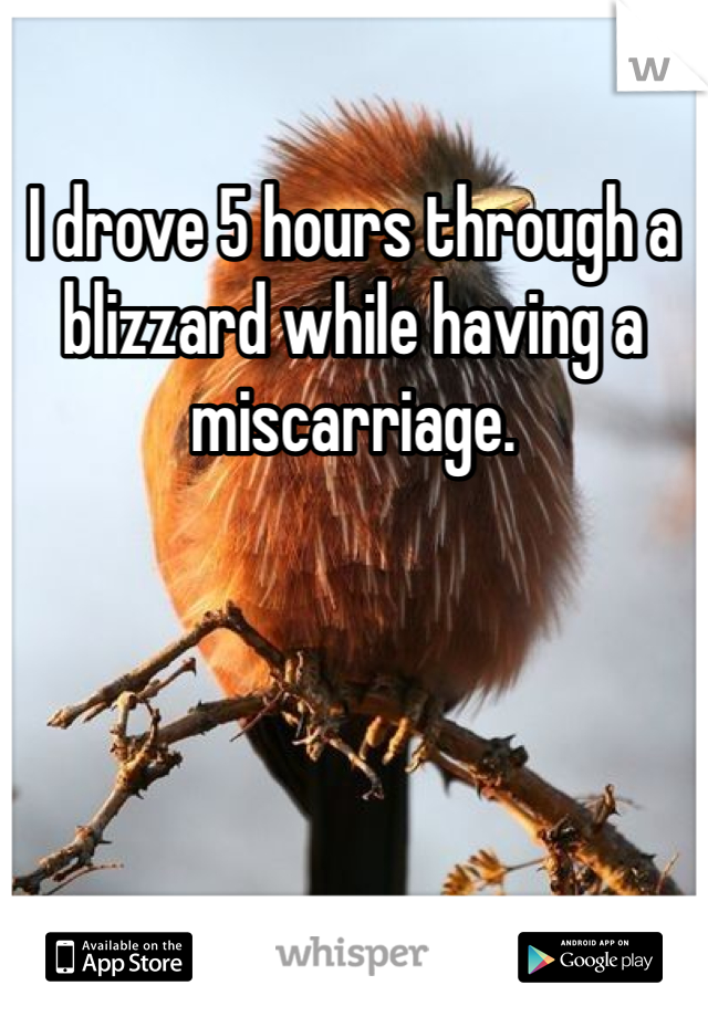 I drove 5 hours through a blizzard while having a miscarriage. 