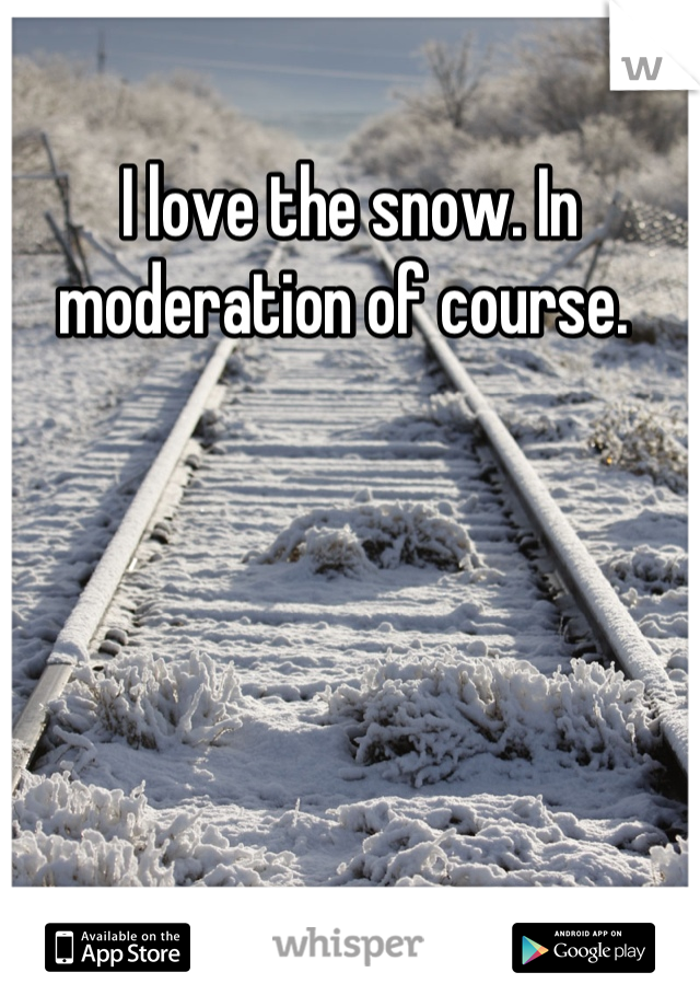 I love the snow. In moderation of course. 