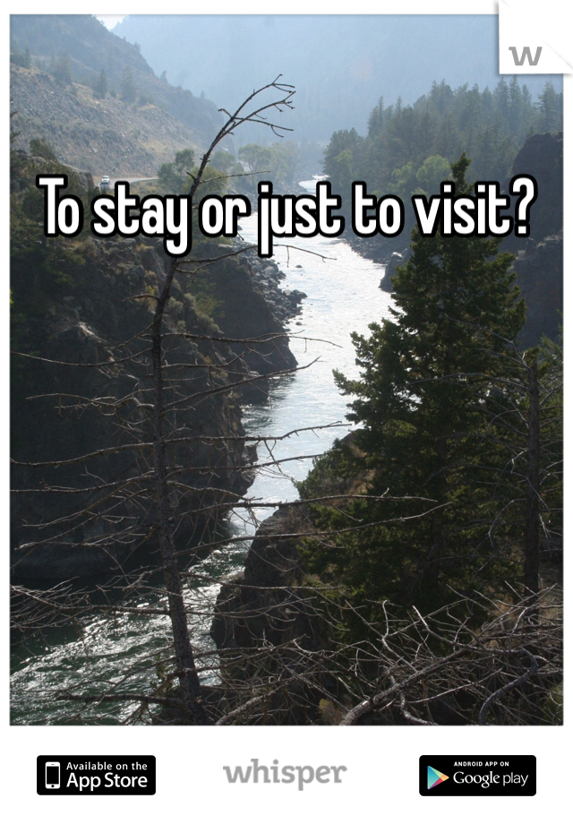 To stay or just to visit?