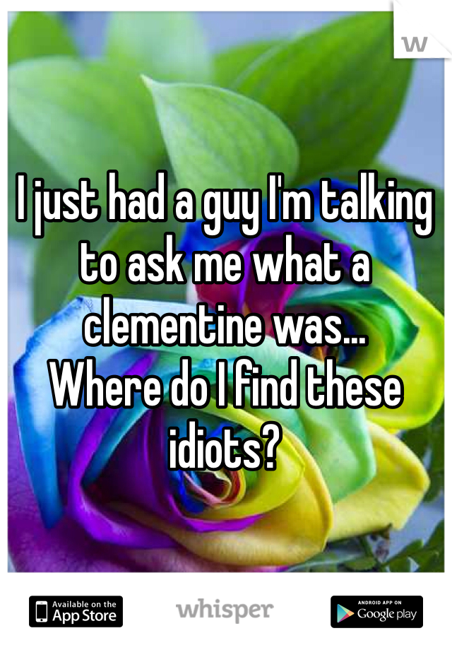 I just had a guy I'm talking to ask me what a clementine was... 
Where do I find these idiots?