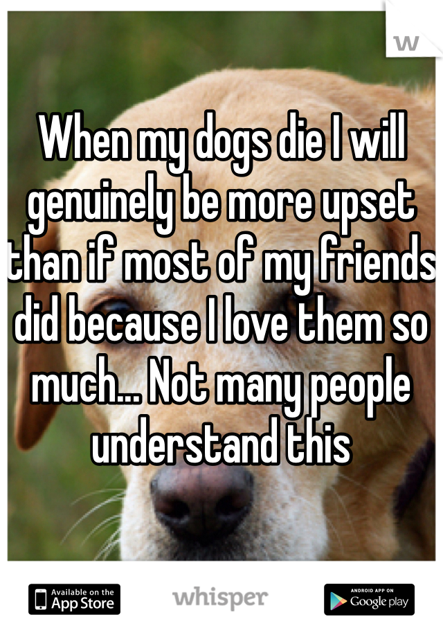 When my dogs die I will genuinely be more upset than if most of my friends did because I love them so much... Not many people understand this