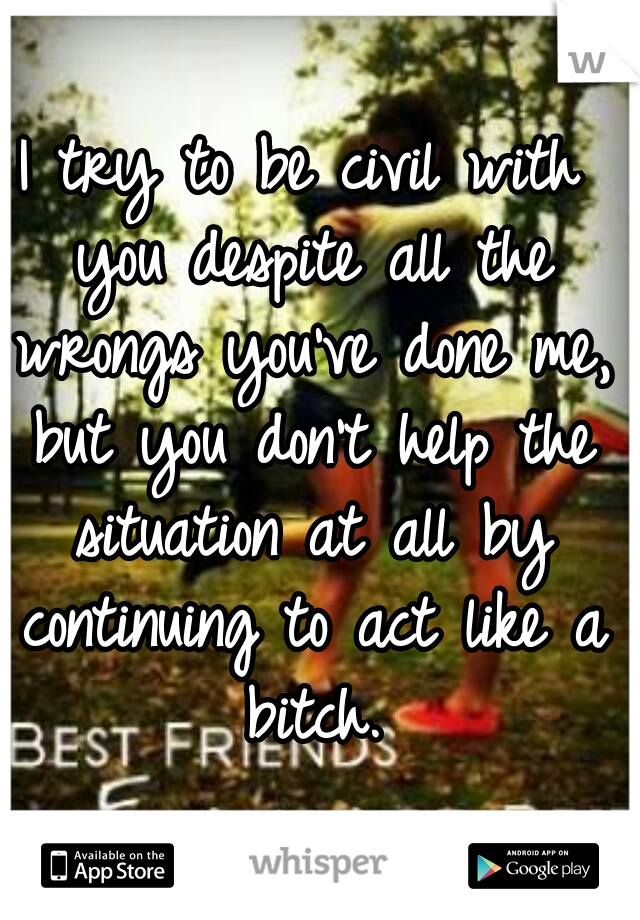 I try to be civil with you despite all the wrongs you've done me, but you don't help the situation at all by continuing to act like a bitch.