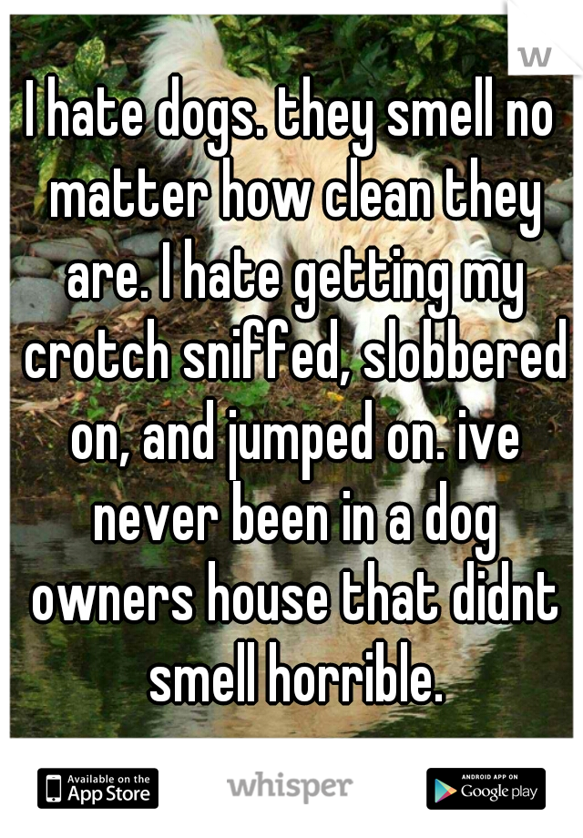 I hate dogs. they smell no matter how clean they are. I hate getting my crotch sniffed, slobbered on, and jumped on. ive never been in a dog owners house that didnt smell horrible.