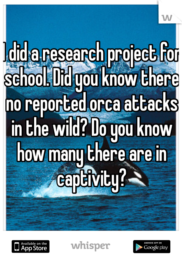 I did a research project for 
school. Did you know there no reported orca attacks in the wild? Do you know how many there are in captivity?