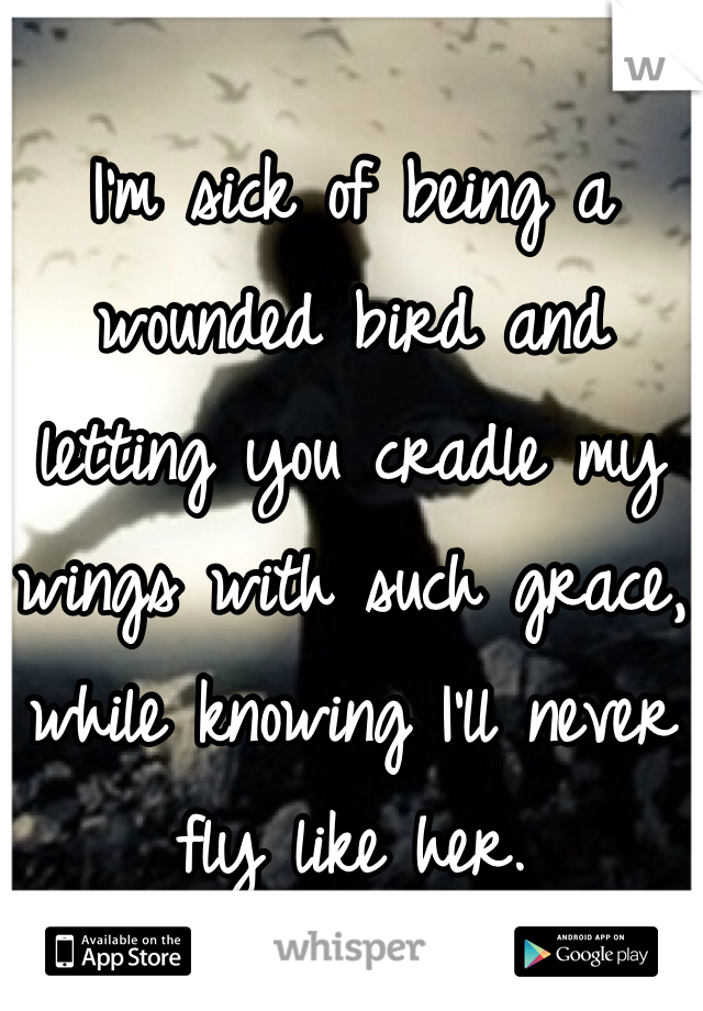 
I'm sick of being a wounded bird and letting you cradle my wings with such grace,  while knowing I'll never fly like her.