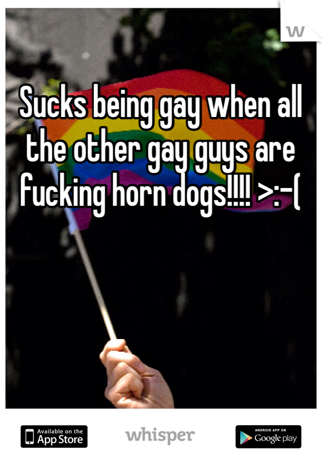 Sucks being gay when all the other gay guys are fucking horn dogs!!!! >:-(