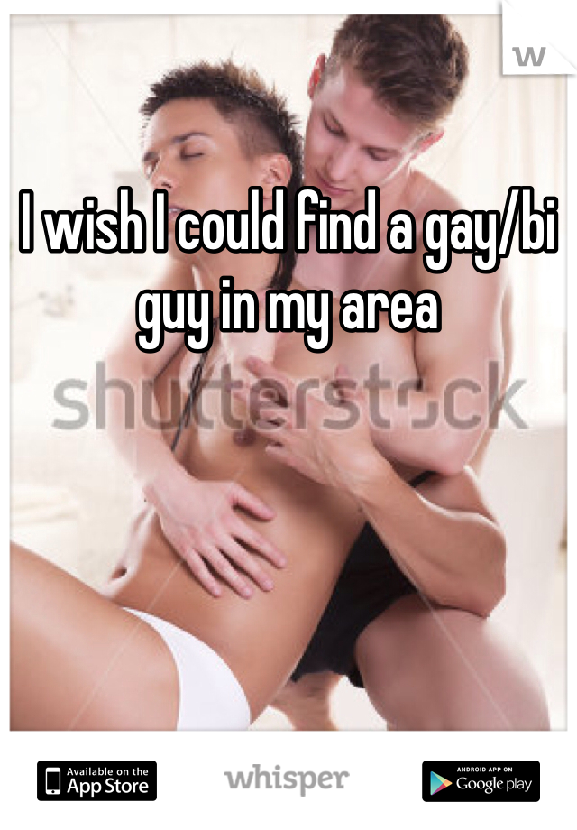 I wish I could find a gay/bi guy in my area