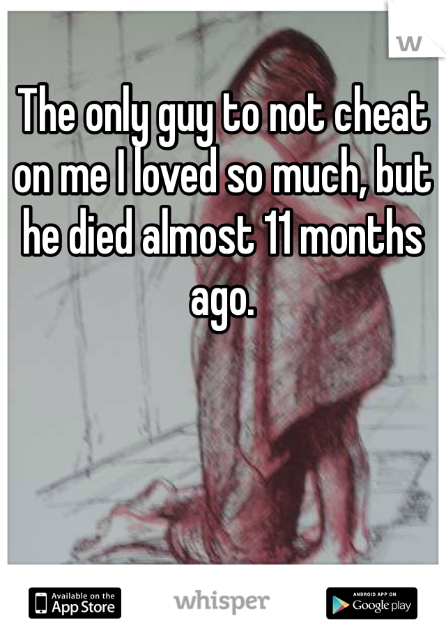 The only guy to not cheat on me I loved so much, but he died almost 11 months ago. 