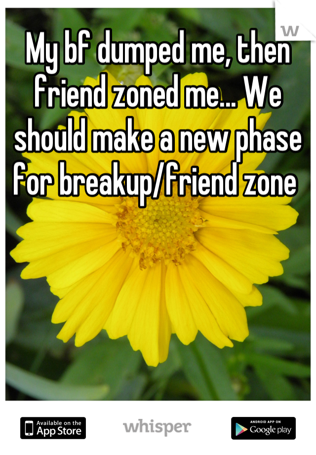 My bf dumped me, then friend zoned me... We should make a new phase for breakup/friend zone 