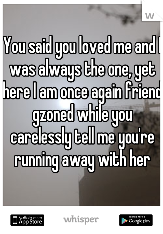 You said you loved me and I was always the one, yet here I am once again friend gzoned while you carelessly tell me you're running away with her