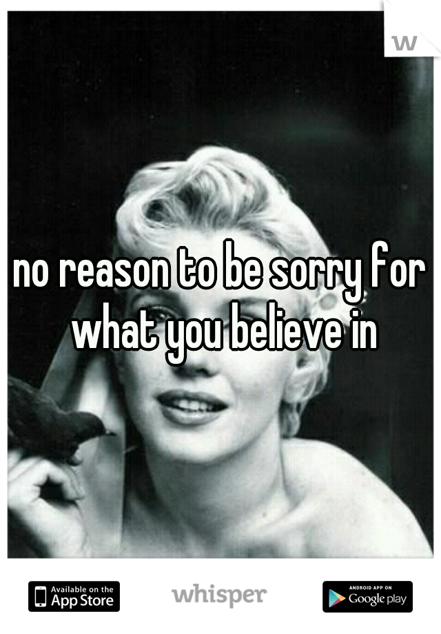 no reason to be sorry for what you believe in