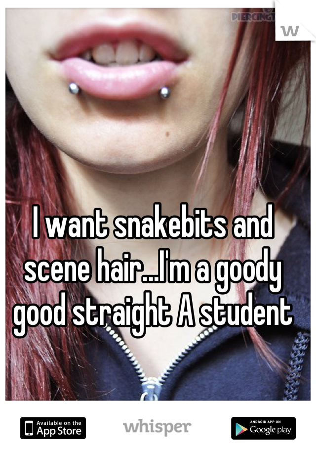 I want snakebits and scene hair...I'm a goody good straight A student