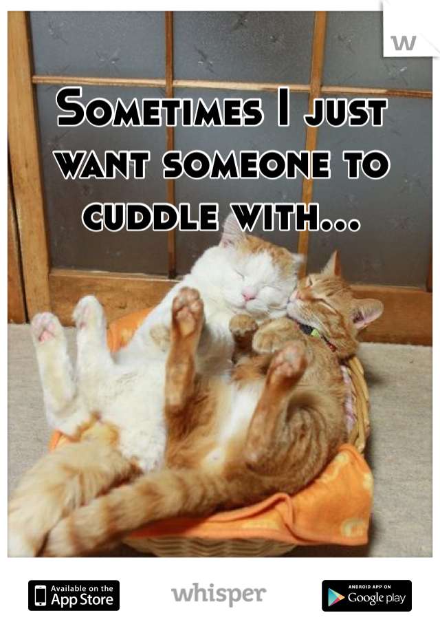 Sometimes I just want someone to cuddle with...