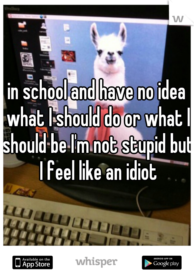 in school and have no idea what I should do or what I should be I'm not stupid but I feel like an idiot