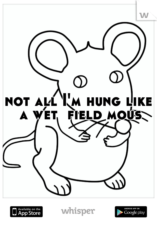 not all I'm hung like a wet  field mouse