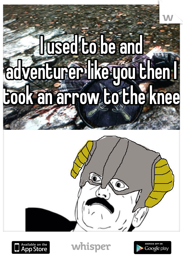 I used to be and adventurer like you then I took an arrow to the knee