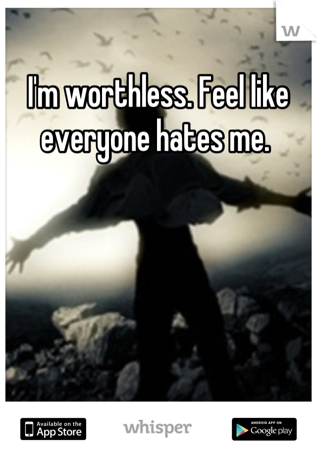 I'm worthless. Feel like everyone hates me. 