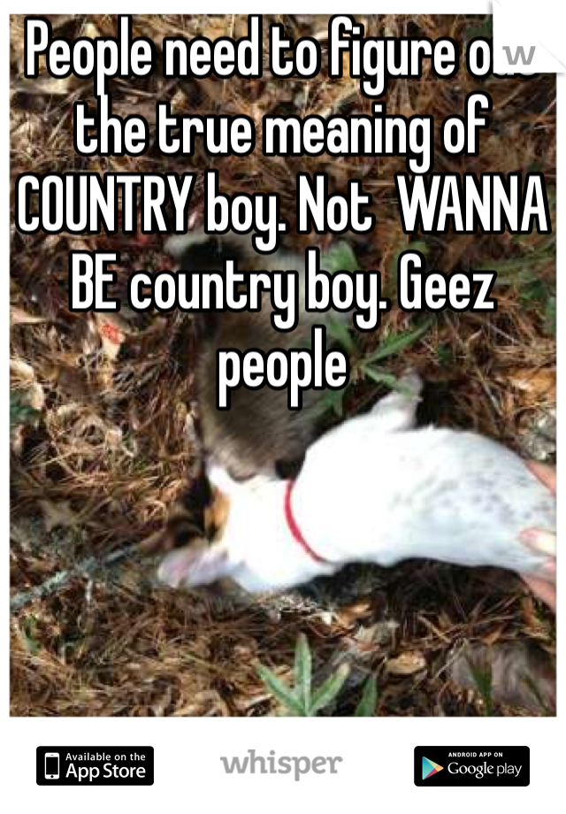 People need to figure out the true meaning of COUNTRY boy. Not  WANNA BE country boy. Geez people 