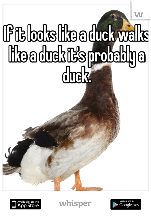 If it looks like a duck walks like a duck it's probably a duck. 