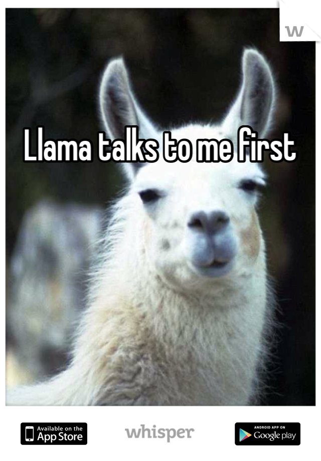 Llama talks to me first