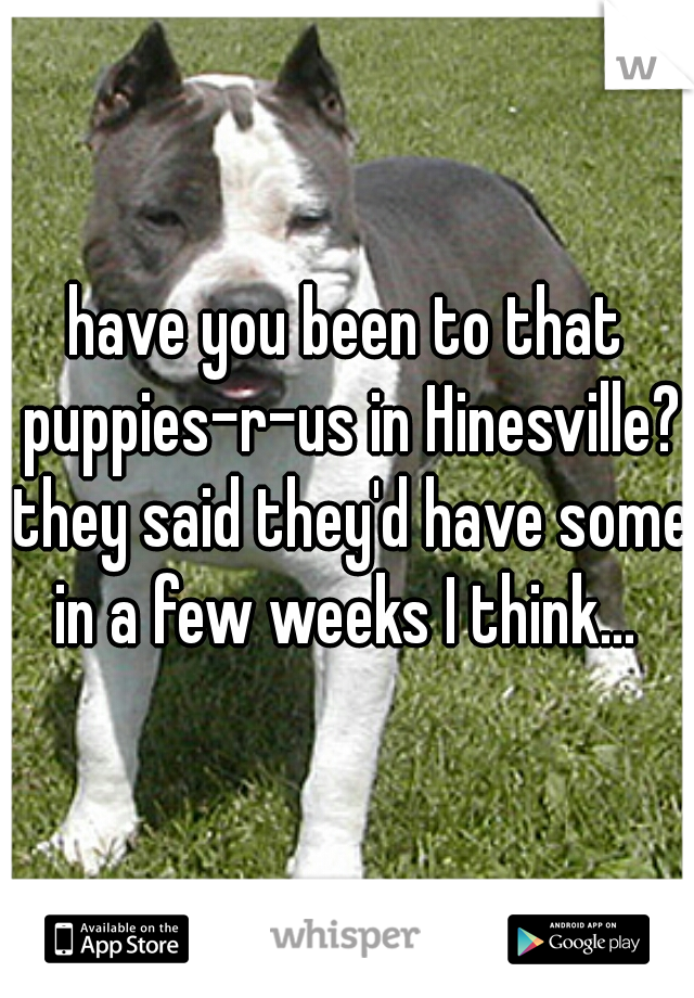 have you been to that puppies-r-us in Hinesville? they said they'd have some in a few weeks I think... 