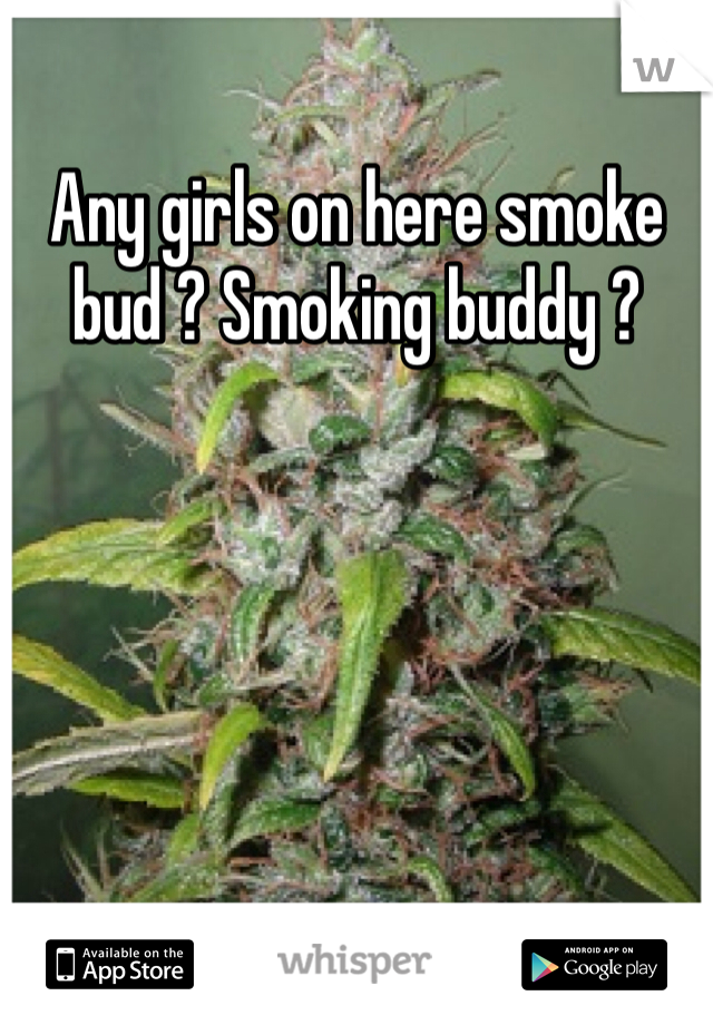 Any girls on here smoke  bud ? Smoking buddy ?