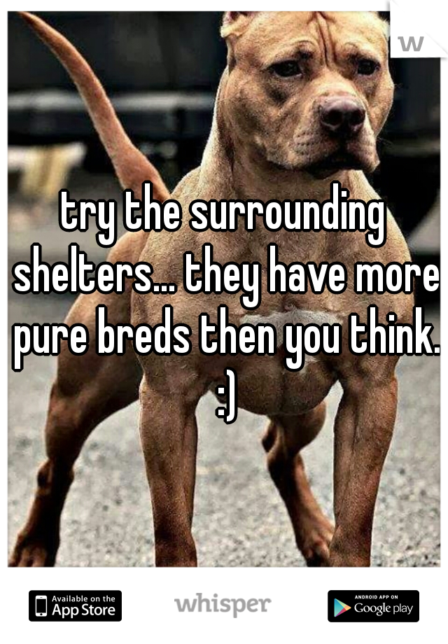 try the surrounding shelters... they have more pure breds then you think. :)