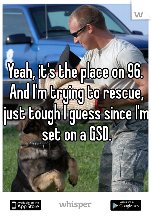 Yeah, it's the place on 96. And I'm trying to rescue, just tough I guess since I'm set on a GSD.