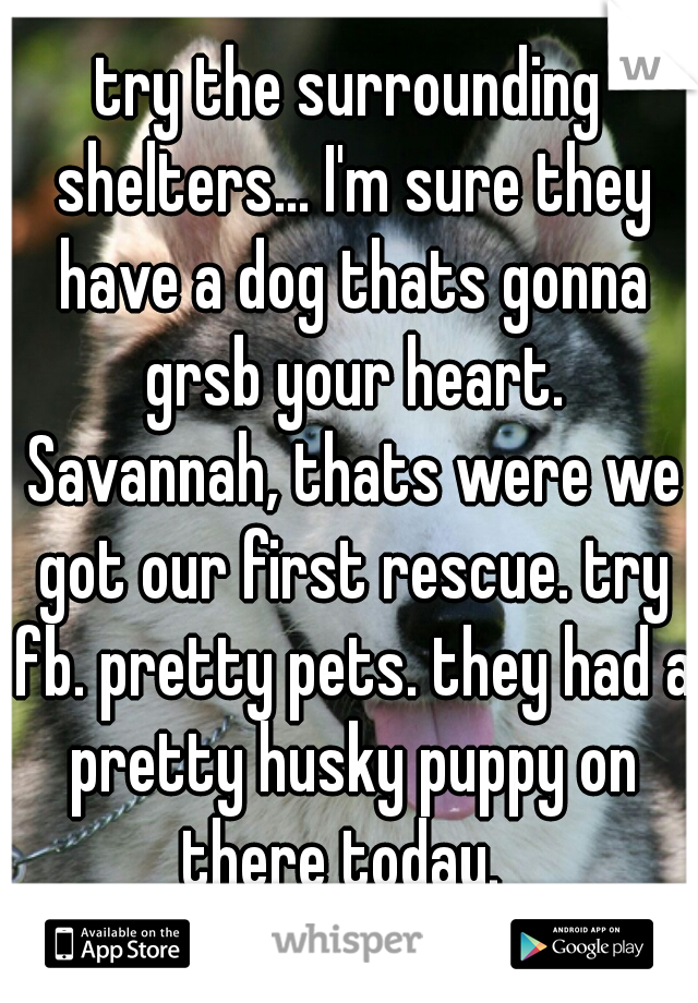 try the surrounding shelters... I'm sure they have a dog thats gonna grsb your heart. Savannah, thats were we got our first rescue. try fb. pretty pets. they had a pretty husky puppy on there today.  