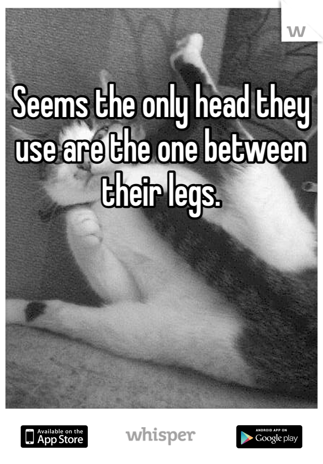 Seems the only head they use are the one between their legs. 