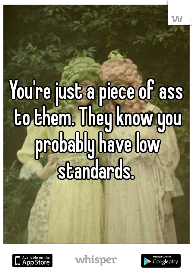 You're just a piece of ass to them. They know you probably have low standards. 