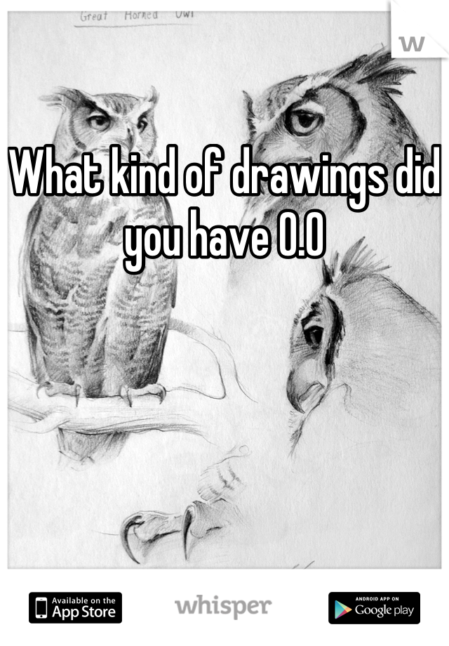 What kind of drawings did you have 0.0