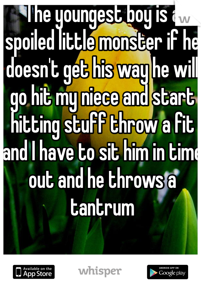 The youngest boy is a spoiled little monster if he doesn't get his way he will go hit my niece and start hitting stuff throw a fit and I have to sit him in time out and he throws a tantrum 