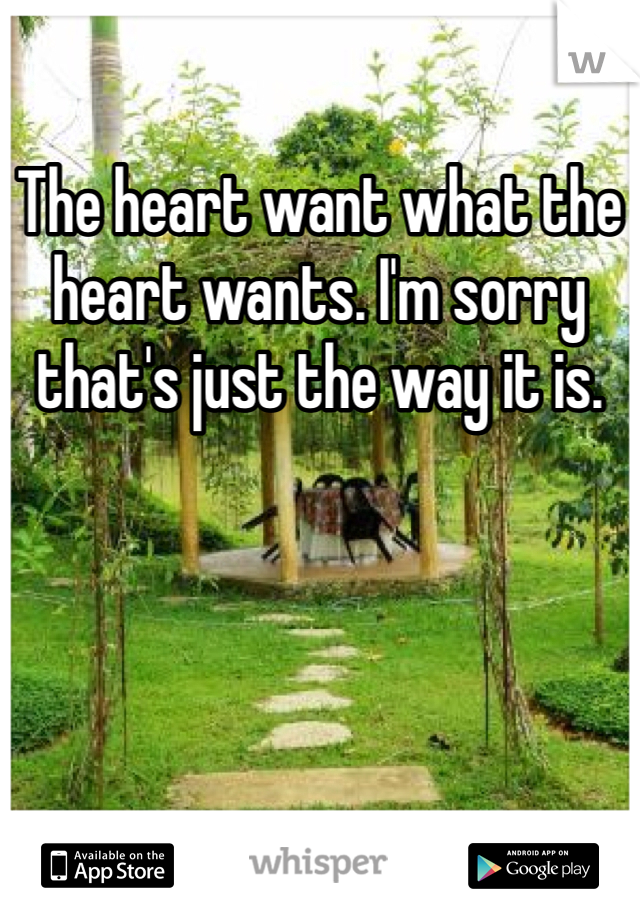 The heart want what the heart wants. I'm sorry that's just the way it is. 