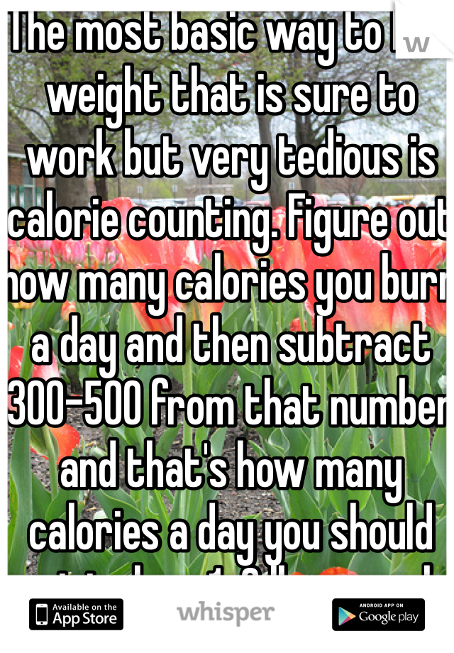 The most basic way to lose weight that is sure to work but very tedious is calorie counting. Figure out how many calories you burn a day and then subtract 300-500 from that number and that's how many calories a day you should eat to lose 1-2 lbs a week