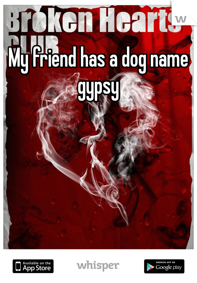 My friend has a dog name gypsy 