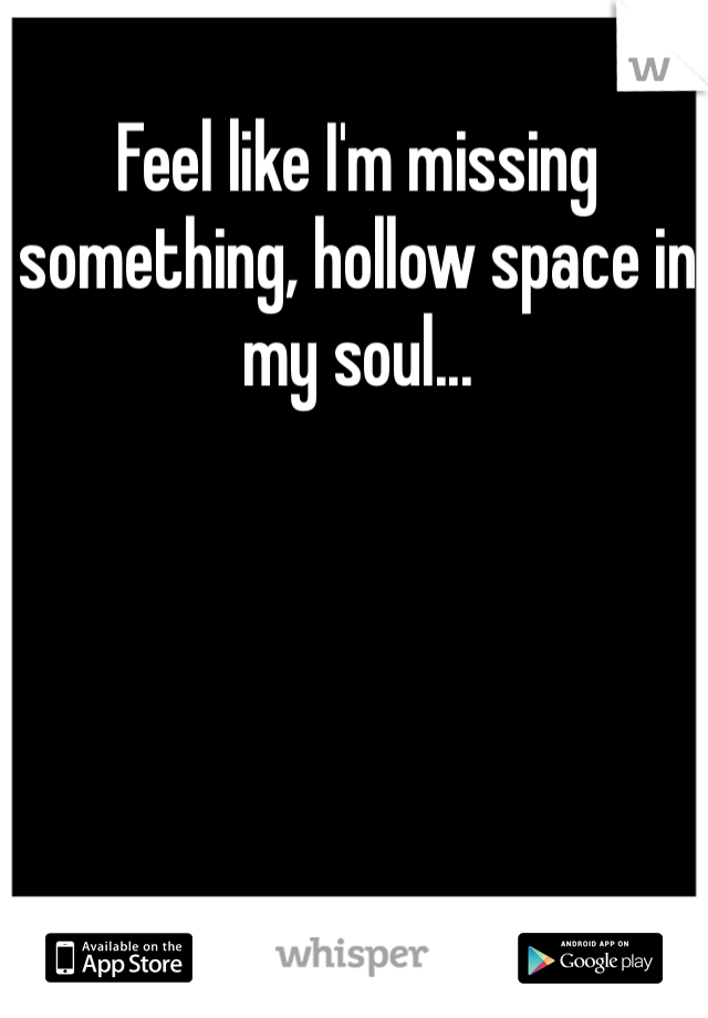 Feel like I'm missing something, hollow space in my soul...